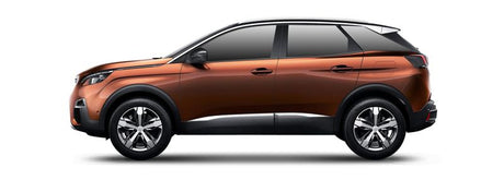 PEUGEOT 3008 Einspritzdusen