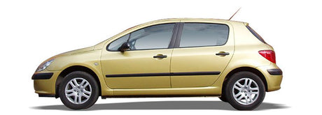 PEUGEOT 307 Einspritzdusen