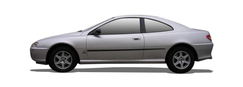 PEUGEOT 406 Coupe Einspritzdusen