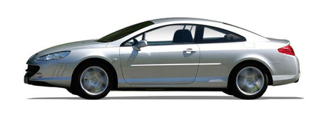 PEUGEOT 407 Coupe Einspritzdusen