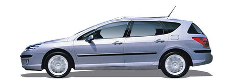 PEUGEOT 407 Einspritzdusen