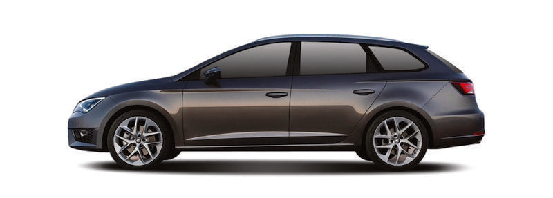 SEAT LEON ST Einspritzdusen