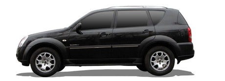 SSANGYONG REXTON / REXTON II Einspritzdusen