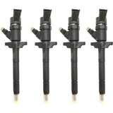 4x INJEKTOR BOSCH 0445110259 CITROEN C3 C4 C5 1.6 HDi FORD FOCUS II 1.6 TDCi