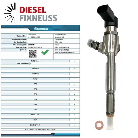 Renault Nissan 1,5 DCI Siemens Diesel Injecteur H8200294788 8200380253 5WS40087