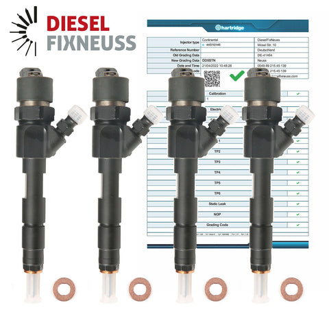 4x Einspritzdüse RENAULT TRAFIC VAUXHALL VIVARO 1.9DCI BOSCH INJECTOR 0445110146