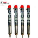 4x Injecteur Renault Kangoo 1,5 DCI EJBR01801A EJBR01801Z Delphi EJBR04001D